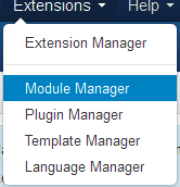 Select Module Manager from Extension menu at top