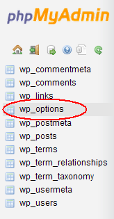 PhpMyAdmin Listing WordPress Database Tables With wp_options circled.